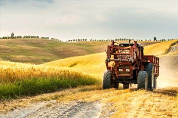 Valori immobiliari dei terreni agricoli - Affitto