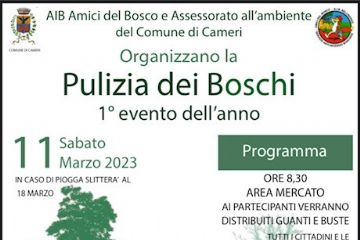 Pulizia dei boschi